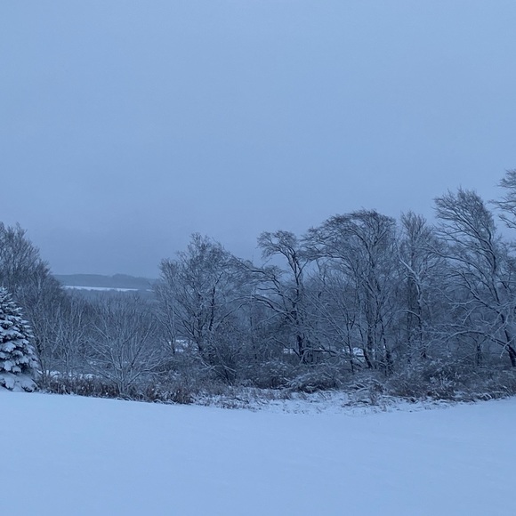 Meet your Posher, Laura - Picture 1 of 1